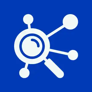 Optimizare SEO Categorie
